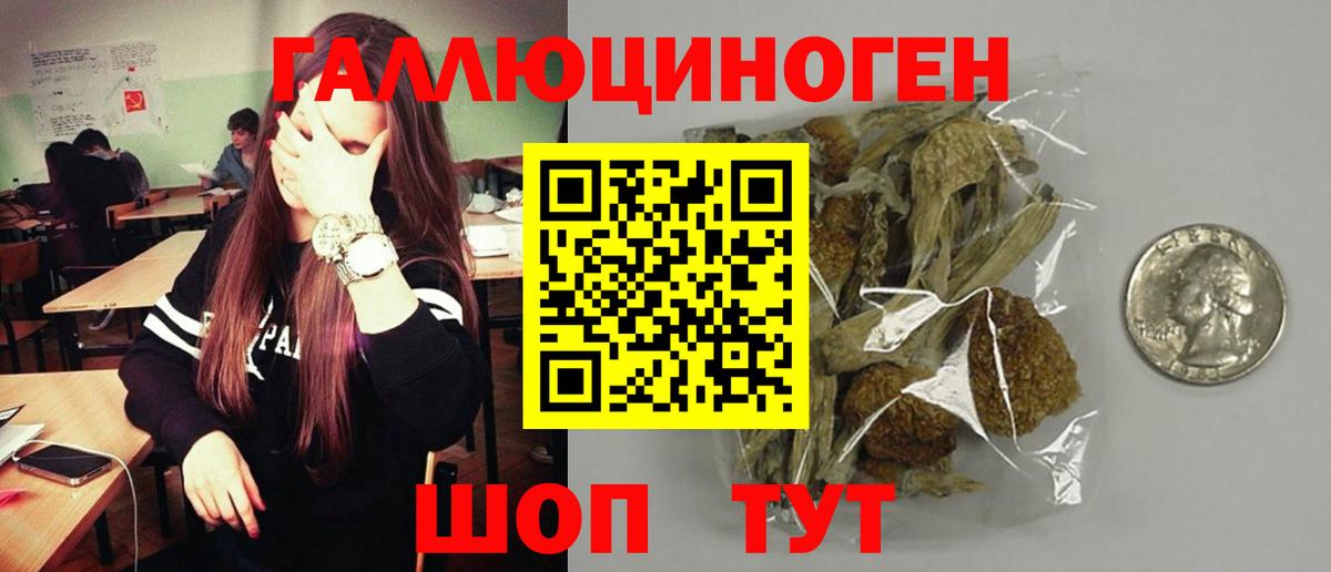 Галлюциногенные грибы прущие грибы  Псилоцибиновые грибы Psilocybe  Хасавюрт  Вход с VPN 